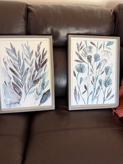 Two floral framed prints