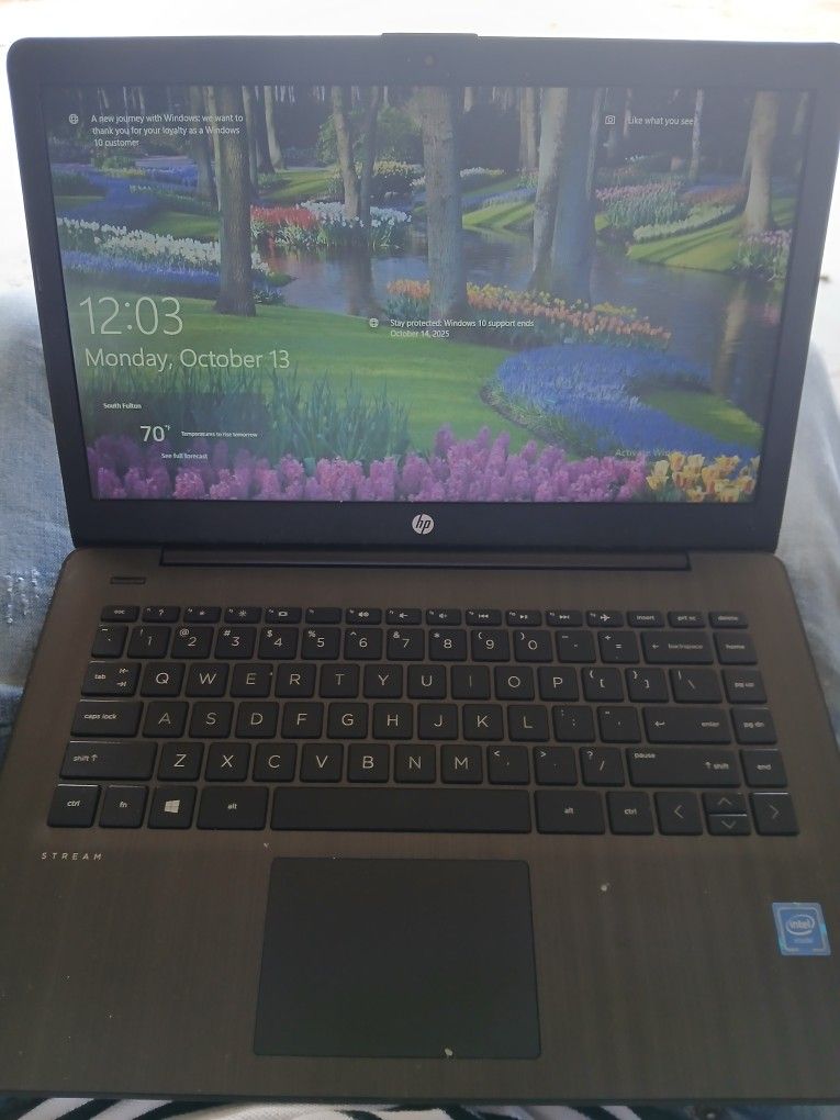 Hp Stream Laptop