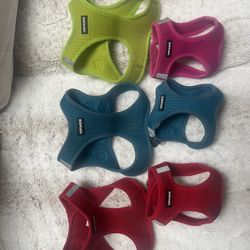 Dog Harnesses 