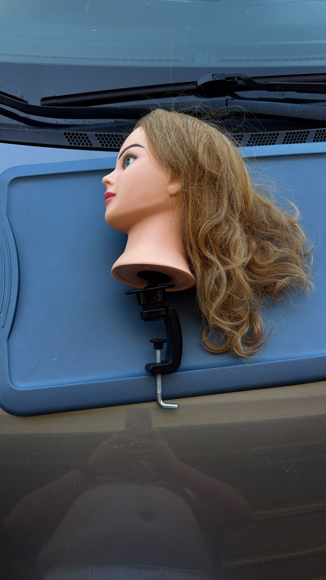 Mannequin Head