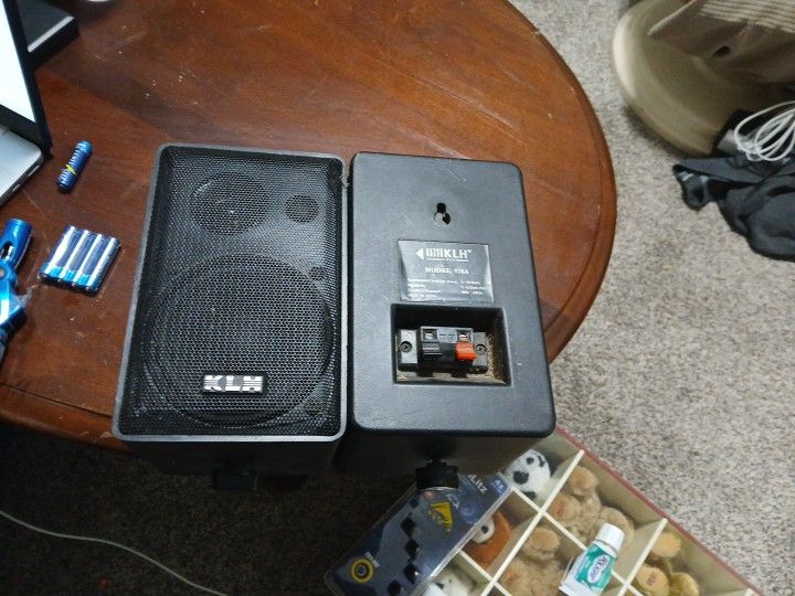 Indoor Outdoor 3wsy Speakers