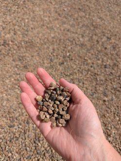 Rocks (Best Offer, not free)
