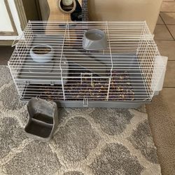 Guinea Pig Cage.