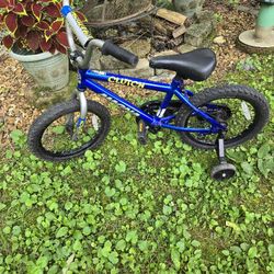 Bicycle MAGNA Cutch 16" Unisex