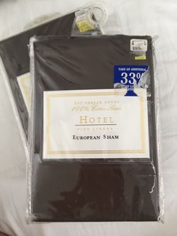 European sham. Two. 600 thread count. Fine linens