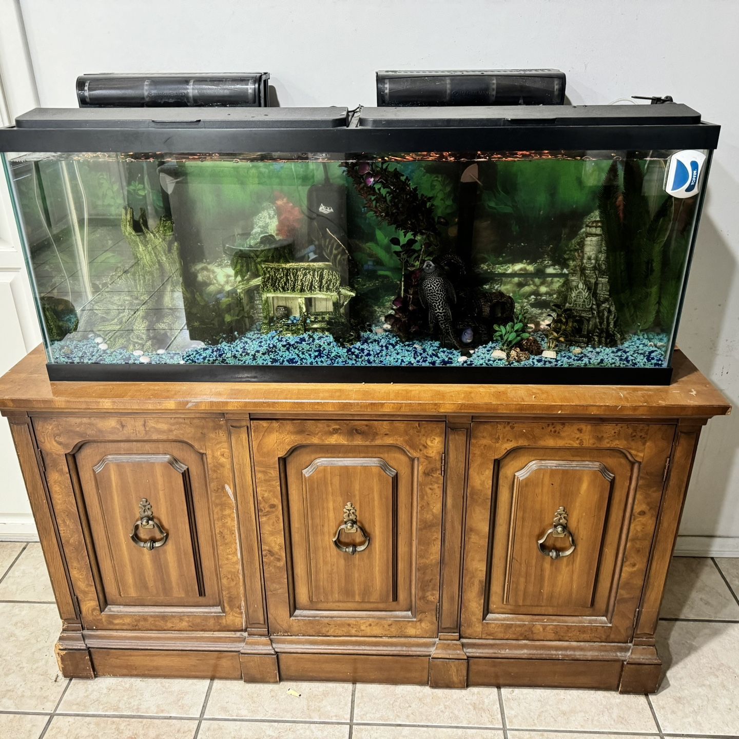 Aquarium, Fish