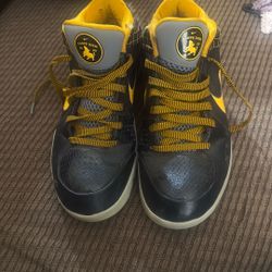 Men’s Carpe Diem Nike Shoes