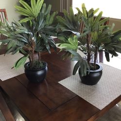 2 Artificial Plants