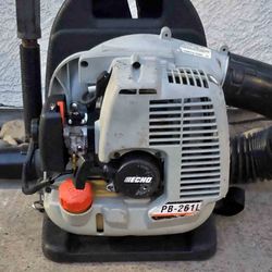 Echo Leaf Blower