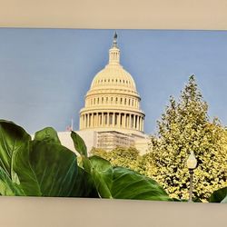 Canvas Wall Art 16x20 DC and Miami Prints (5 available)