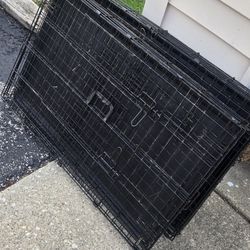 36x22 Cretes 2 Units Same Size 