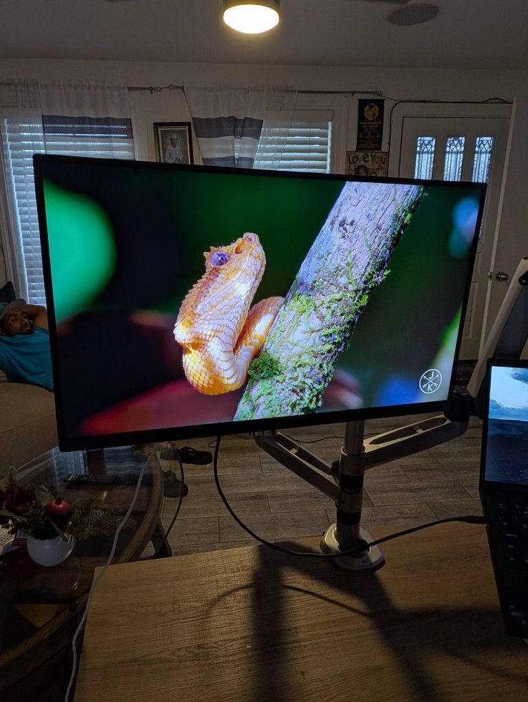 4K LG Monitor + 3M Dual Monitor Mount.