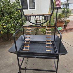 Parrot Play Stand
