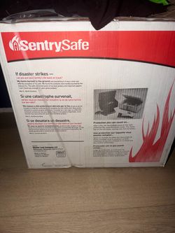 Sentry safe