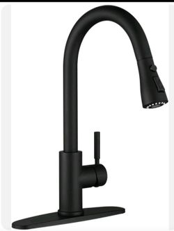 Matte Black Pull-Down Kitchen Faucet