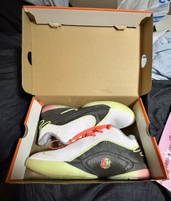 Nike LeBron 22 Crown Jewel