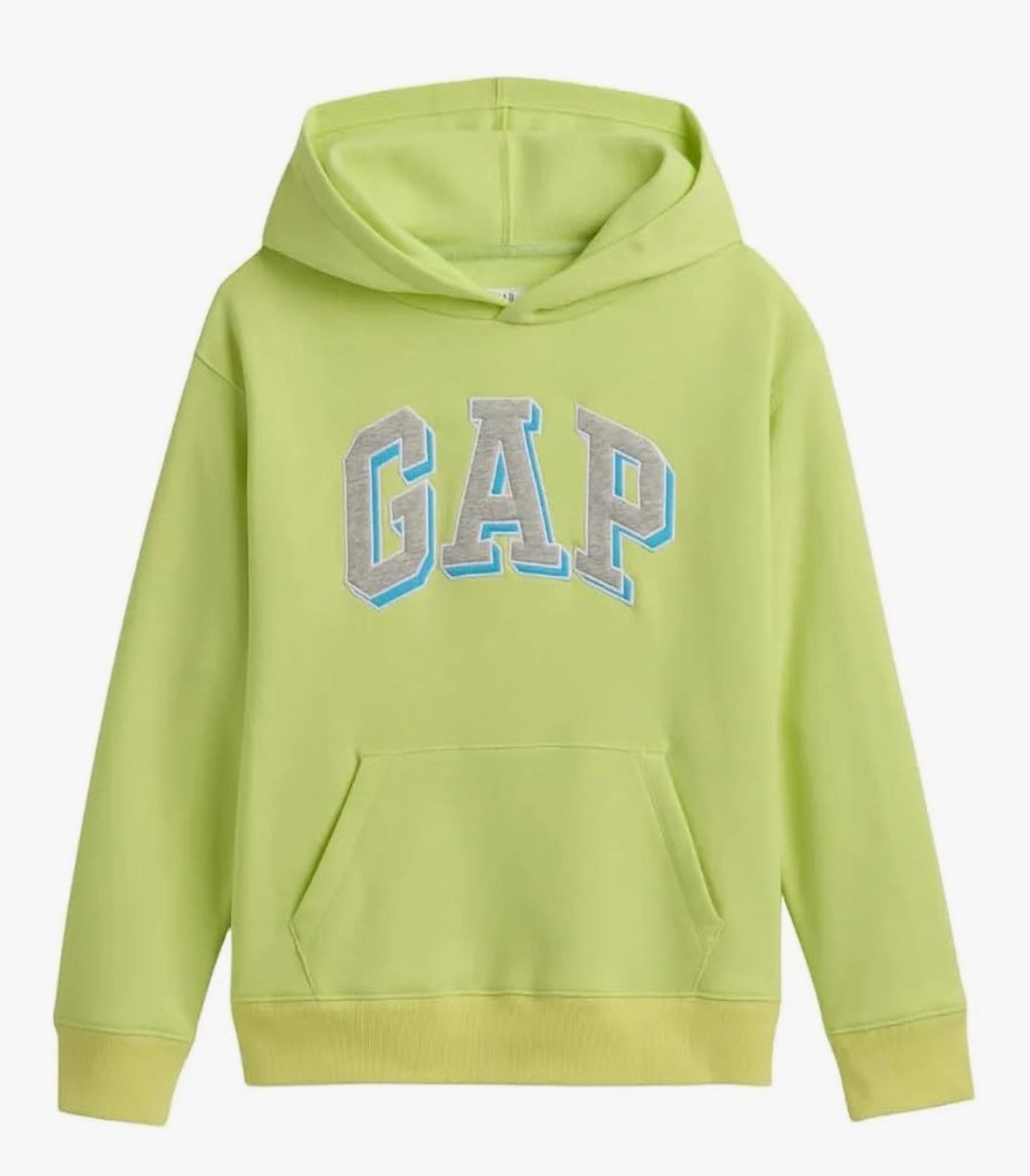 Gap Hoodie
