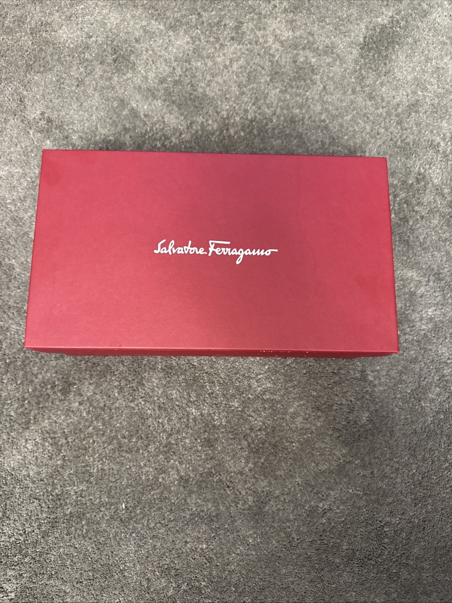 Salvatore Ferragamo Viva 55 Pumps