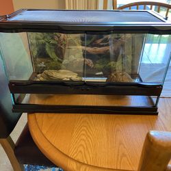 Reptile Tank 10 Gallon