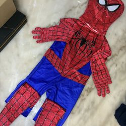 Spider-Man Custom 
