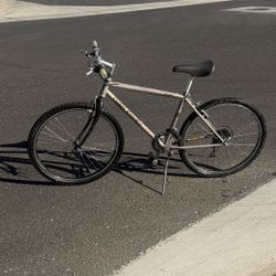 Gary Fisher 21 Speed Mountain Bike With 17” Frame and 26” Wheels