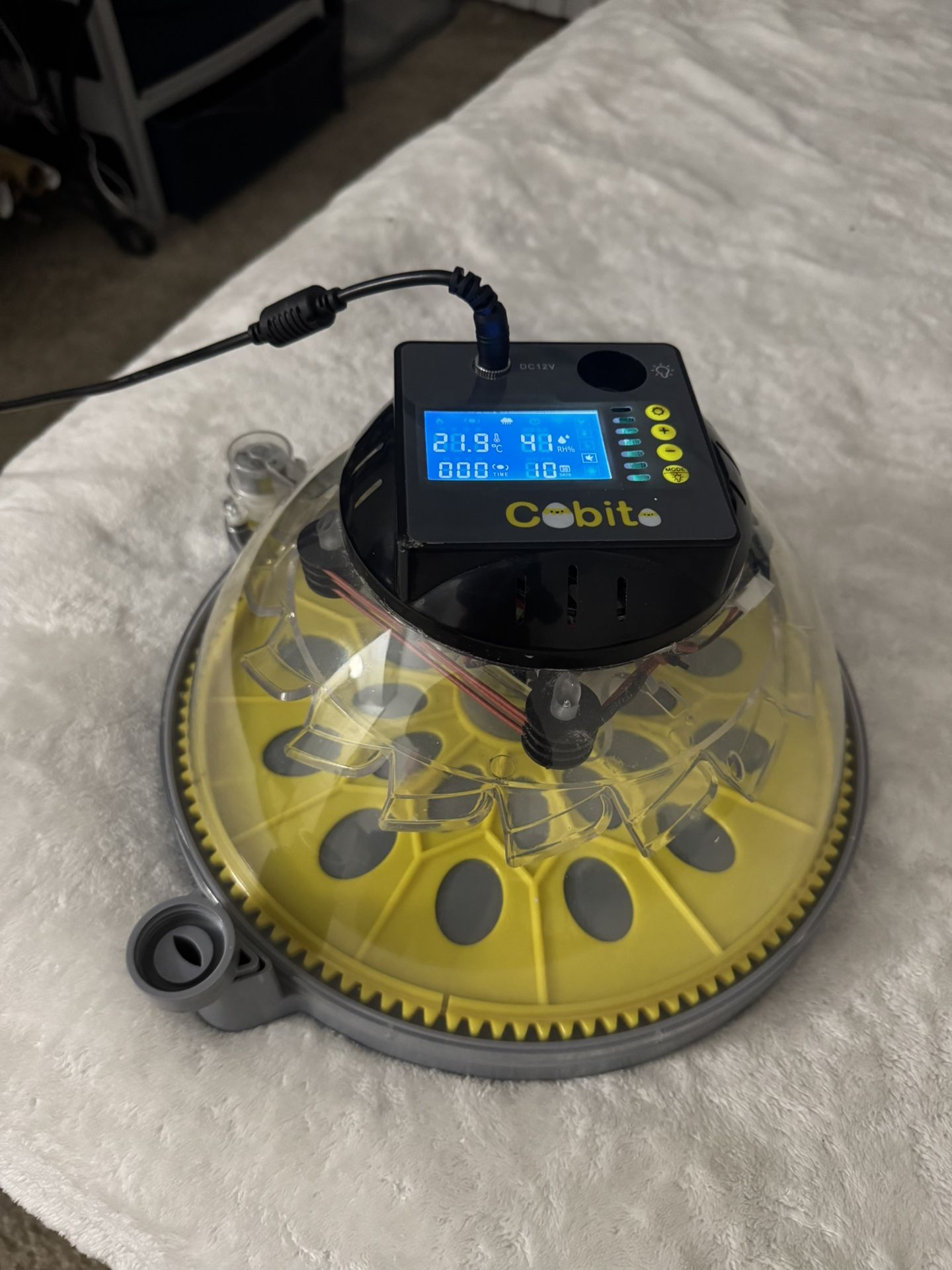 Egg Incubator