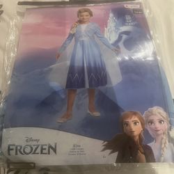 Elsa Costume