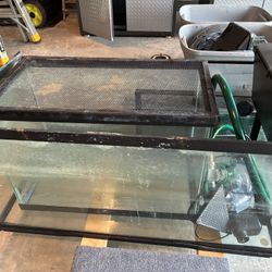 Fish Tank with Filter(OBO)