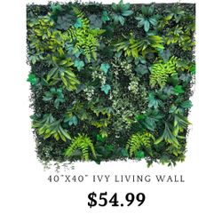 Everglades 40x40 Ivy Living Wall 