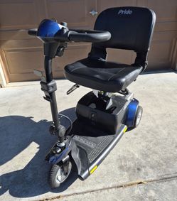 Go-Go Pride Scooter