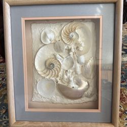 Sea Shell Wall Art