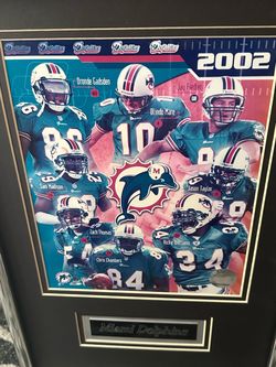 2002 Miami Dolphins Framed Team Photo Print