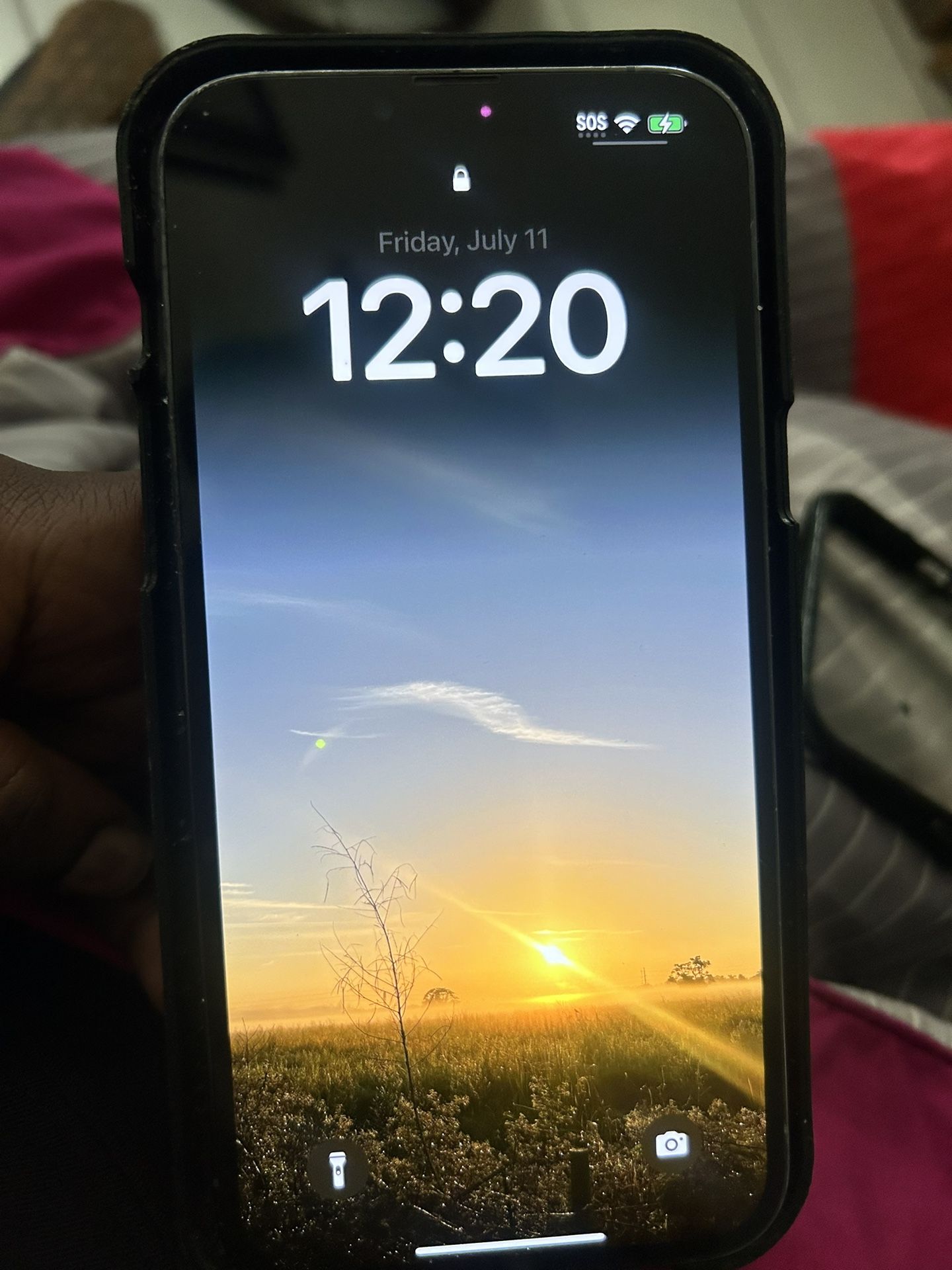 iPhone 13 Pro Max–128GB (Light Blue) For Sale As Is – $100