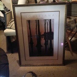 Louisiana Swamps & Bayous