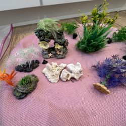 Aquarium Decorations 
