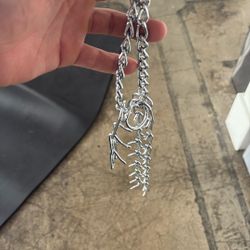 Dog Prong Collar