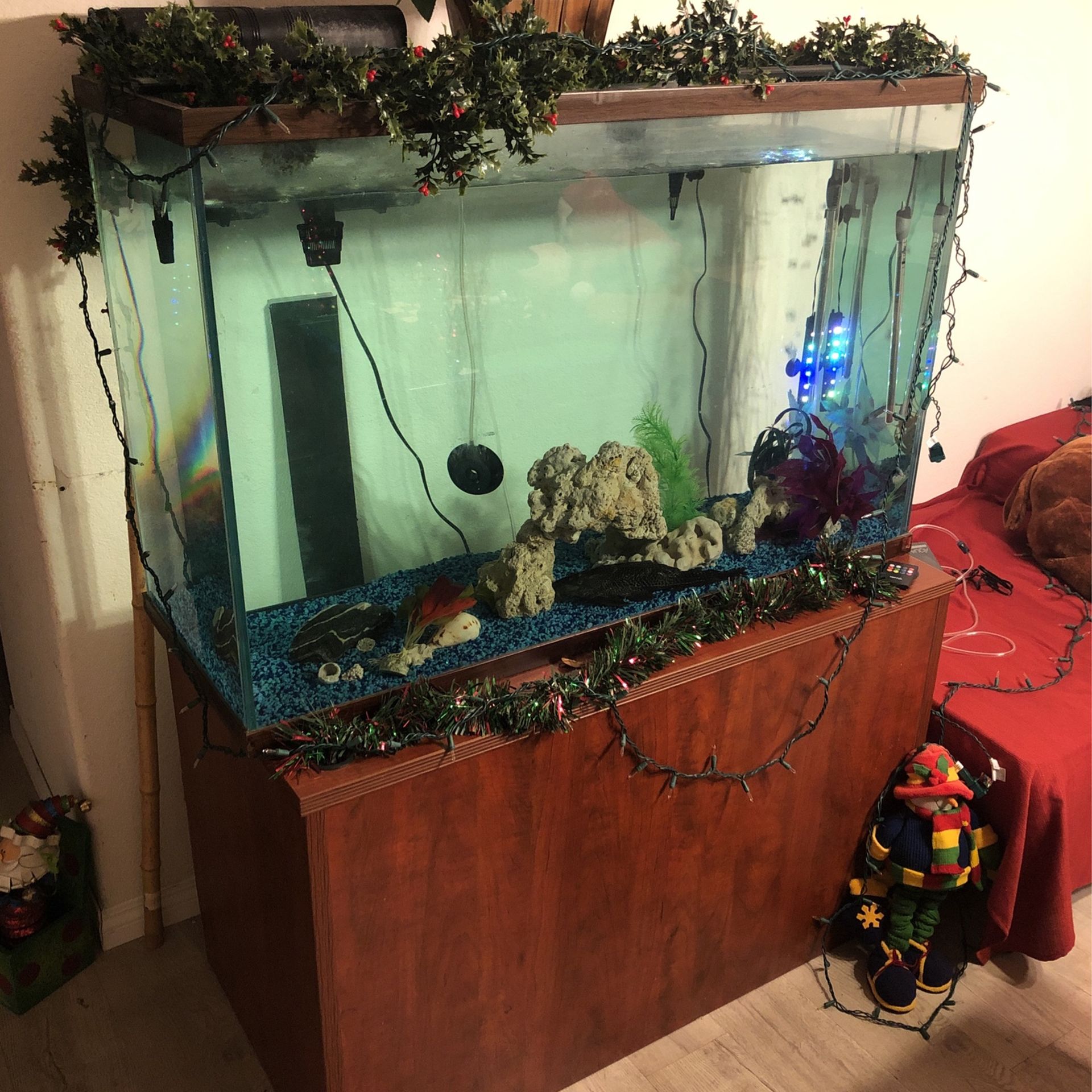 Fish Tank