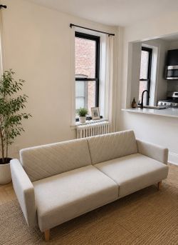 Light Grey Couch