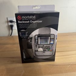 Backseat Organizer 