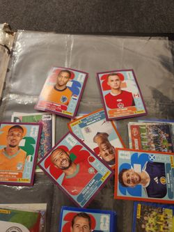 Panini