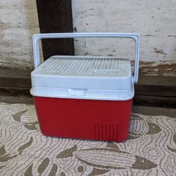 Small Rubbermaid Lunch Cooler