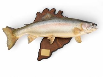 Trophy Fish