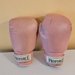 14 oz. Pink Boxing Gloves