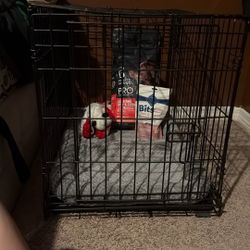 Dog setup small-medium