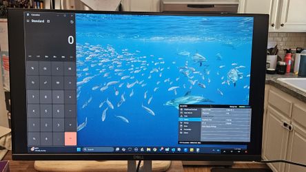 Dell Monitor
