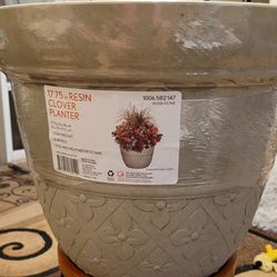 Flower Pot 