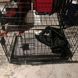 Dog Crate