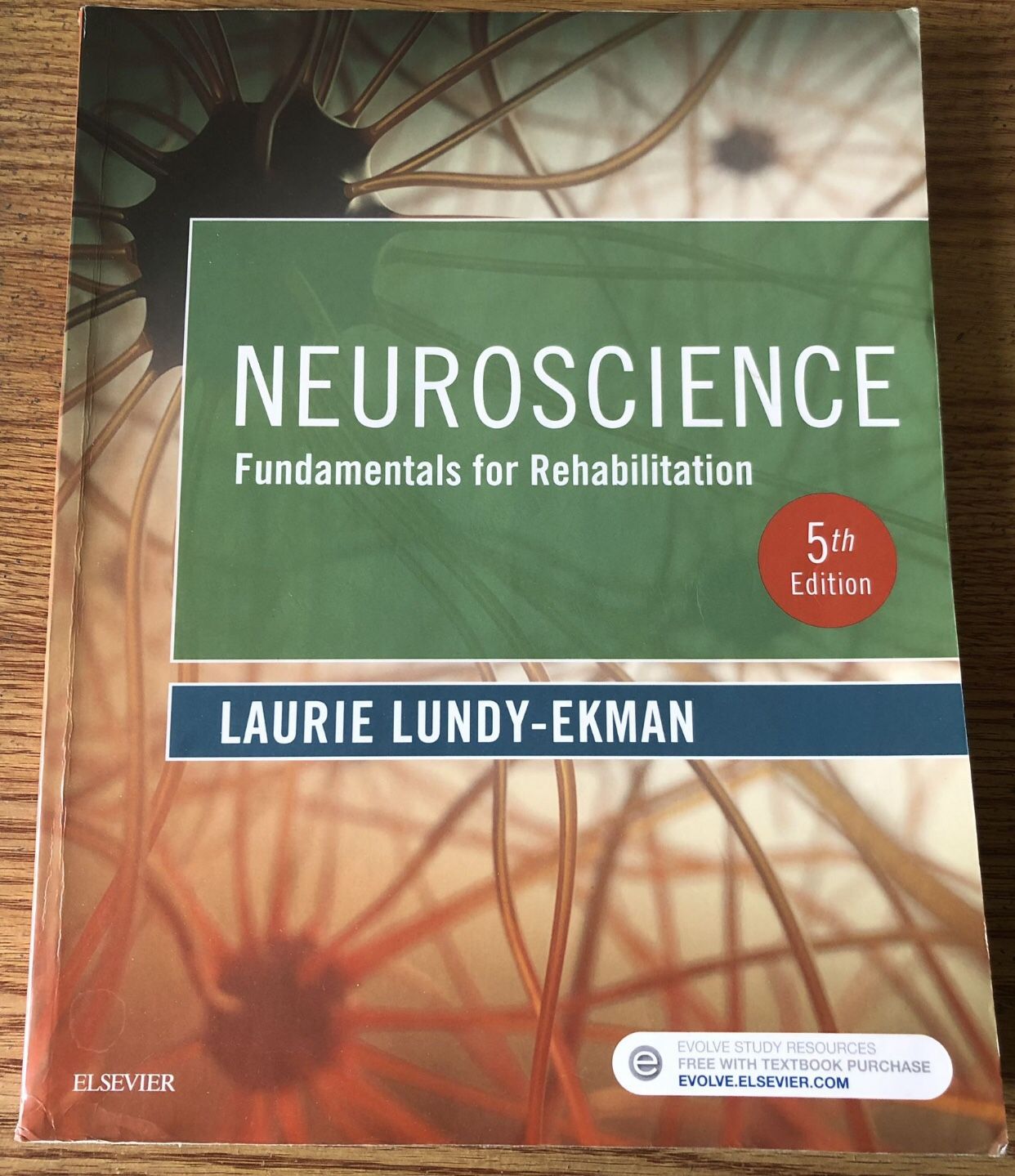 Neuroscience Fundamentals For Rehabilitation- 5th Edition