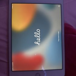Ipad Mini 4 Unlocked