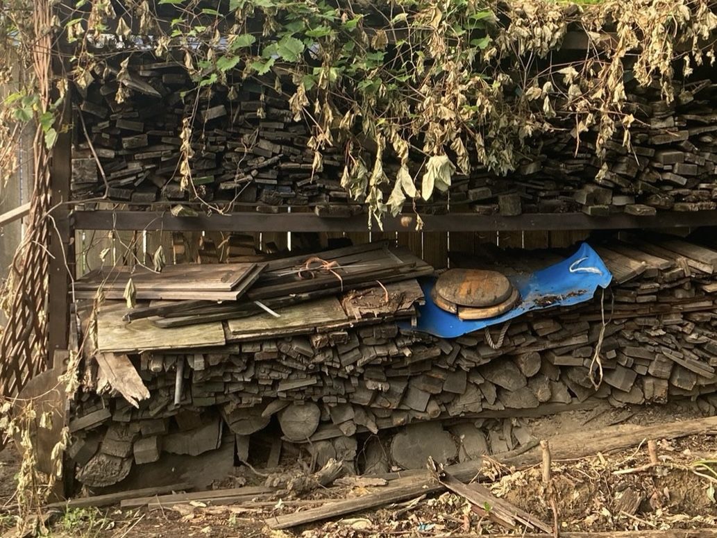 Firewood